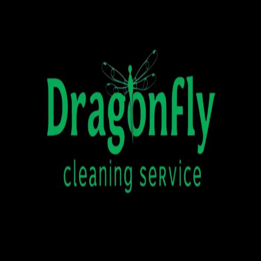 Dragonfly Cleaning