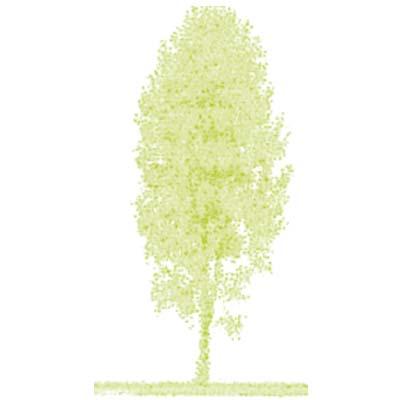 APP Alternativer Patientorientierte Pflegedienst GbR