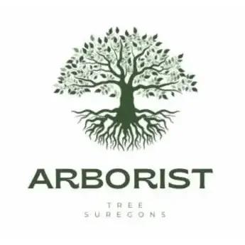 Arborist Tree Surgeons