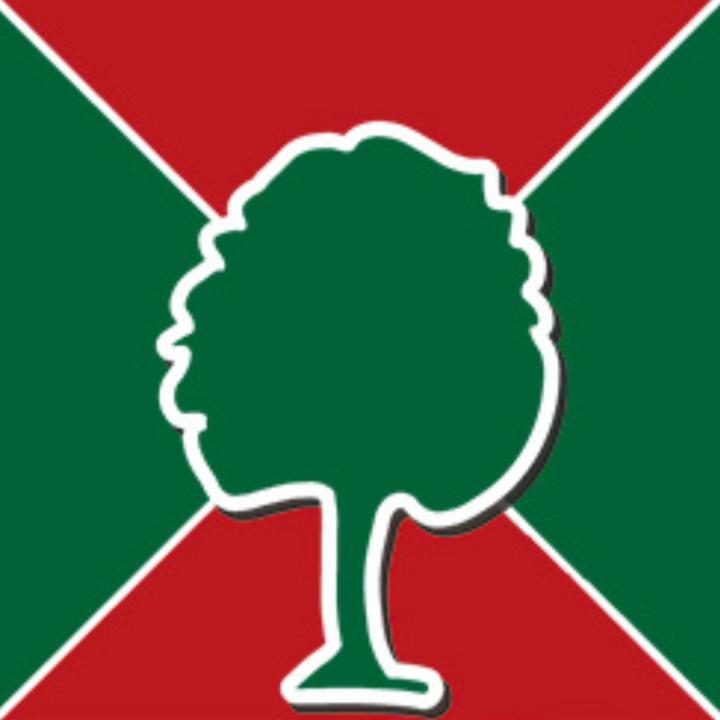 Tischler Daniel Albani Gestaltung in Holz