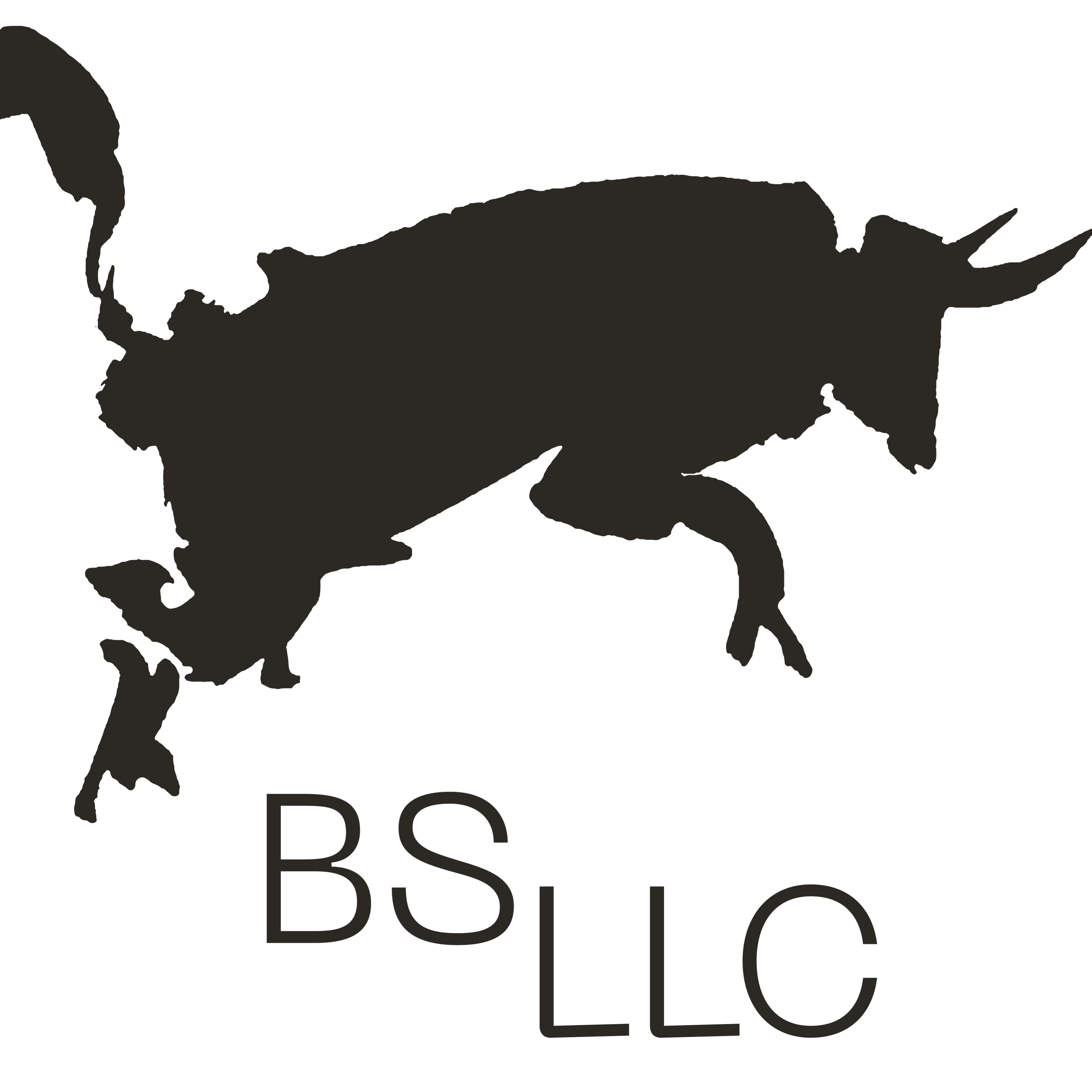 BS LLC