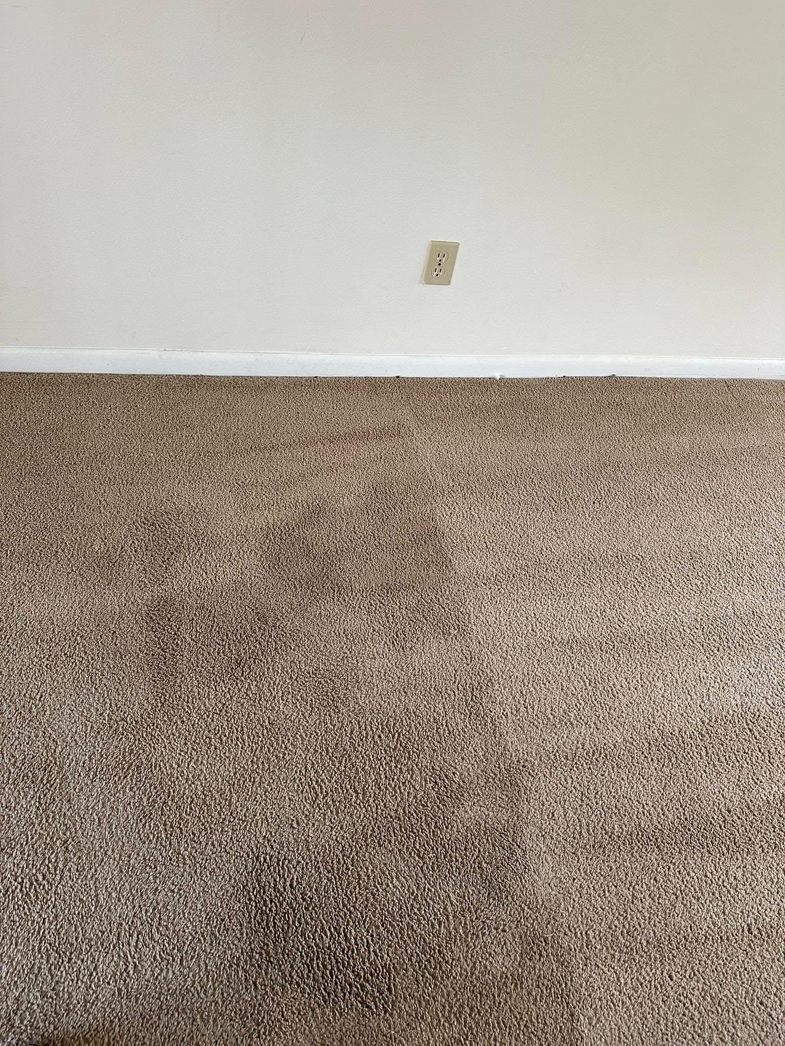 Bowden's Carpet Cleaning