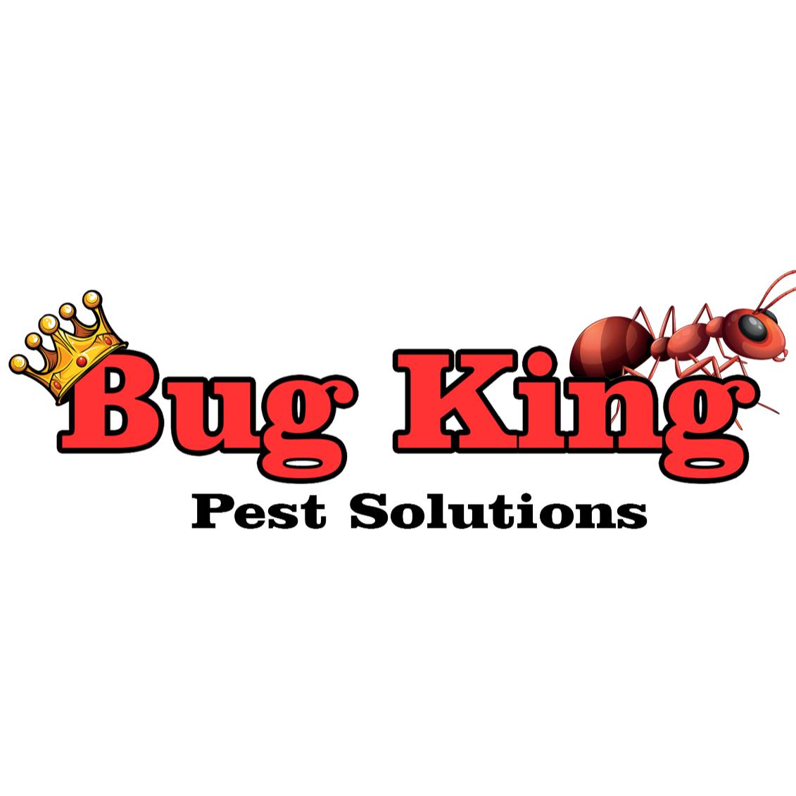 Bug King Pest Solutions