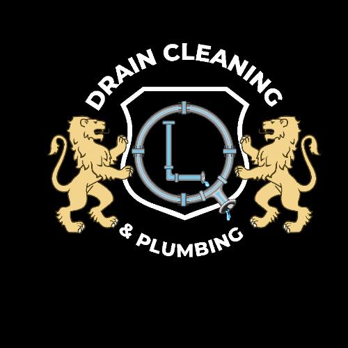 QL Drain Cleaning & Plumbing