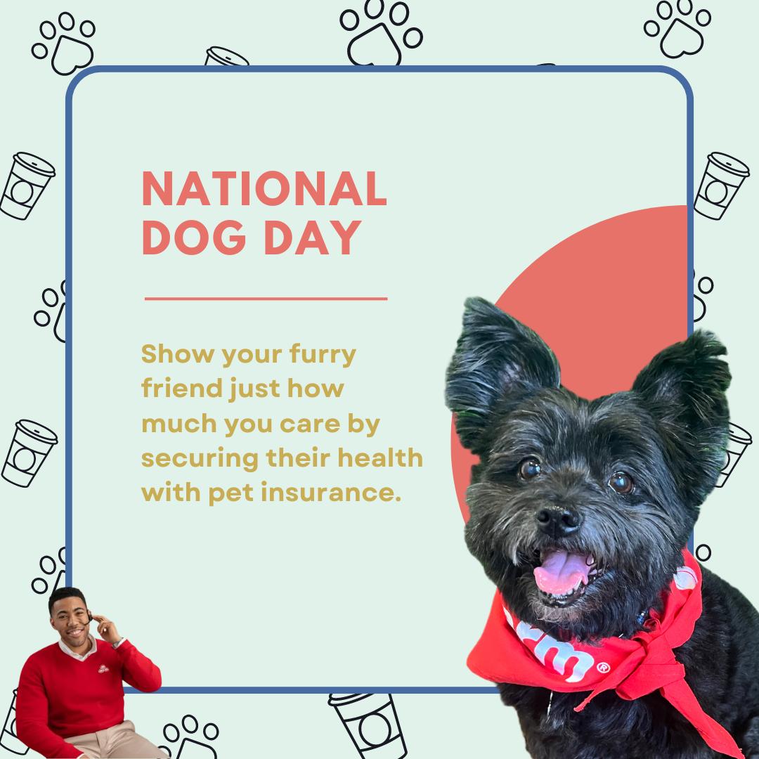 Jason Paszek - State Farm Insurance Agent