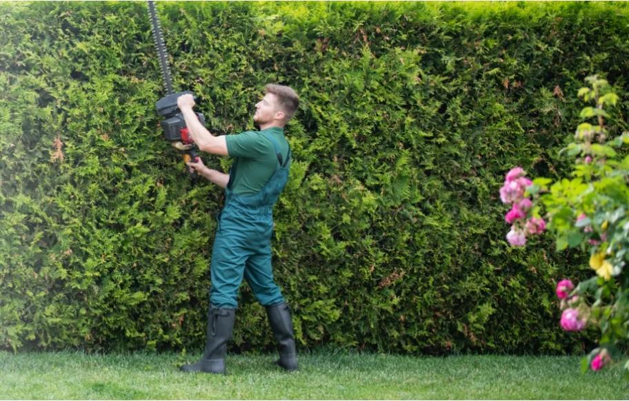 Bennett Tree Service