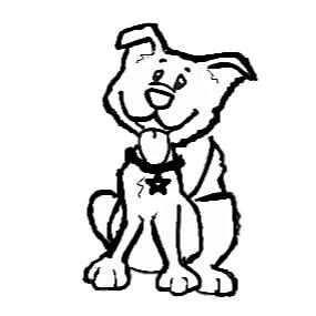 South Paw Doggie Daycare & Training Center