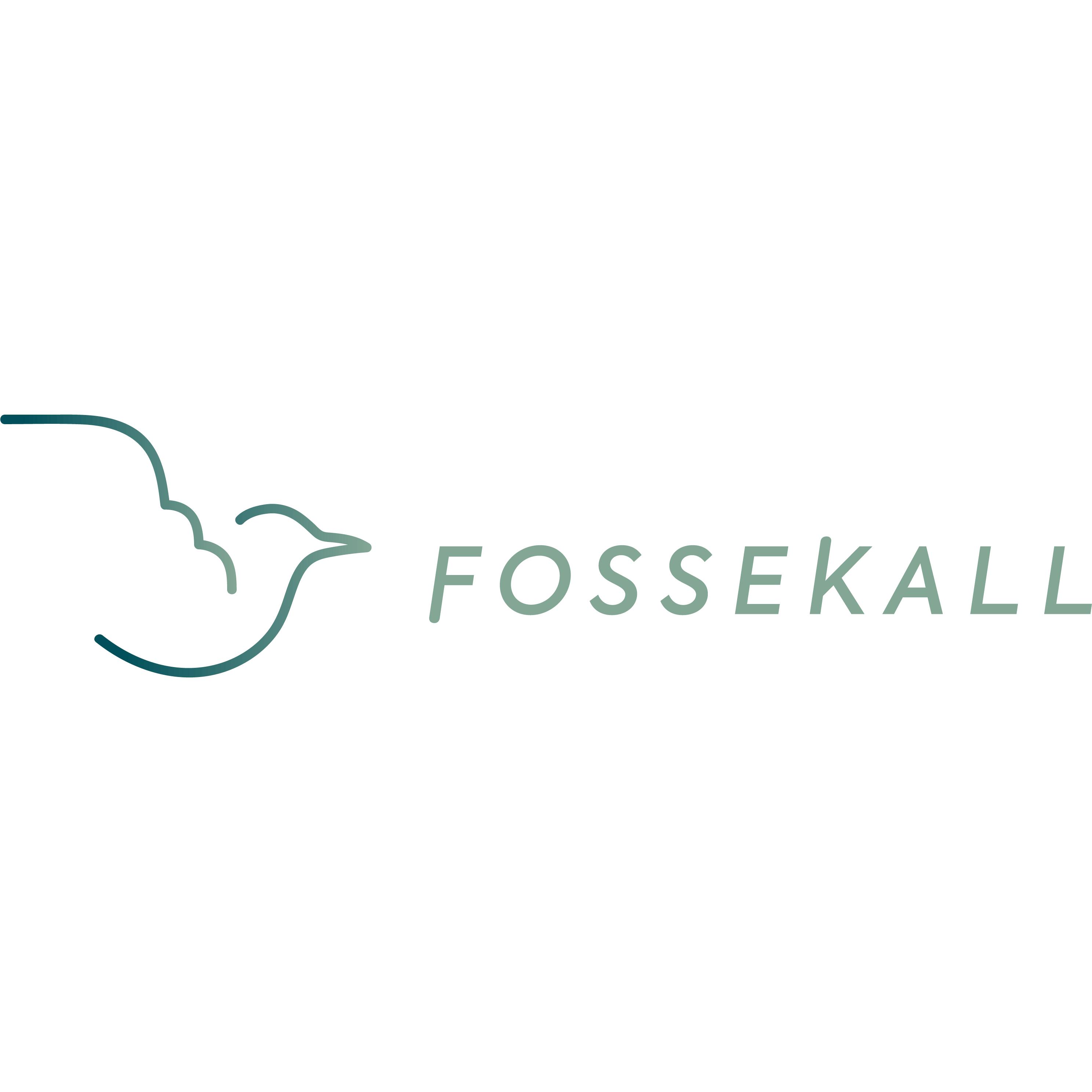 Fossekall AS