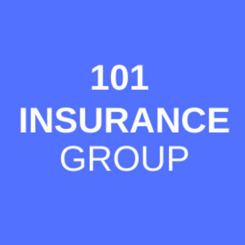 101 Insurance Group