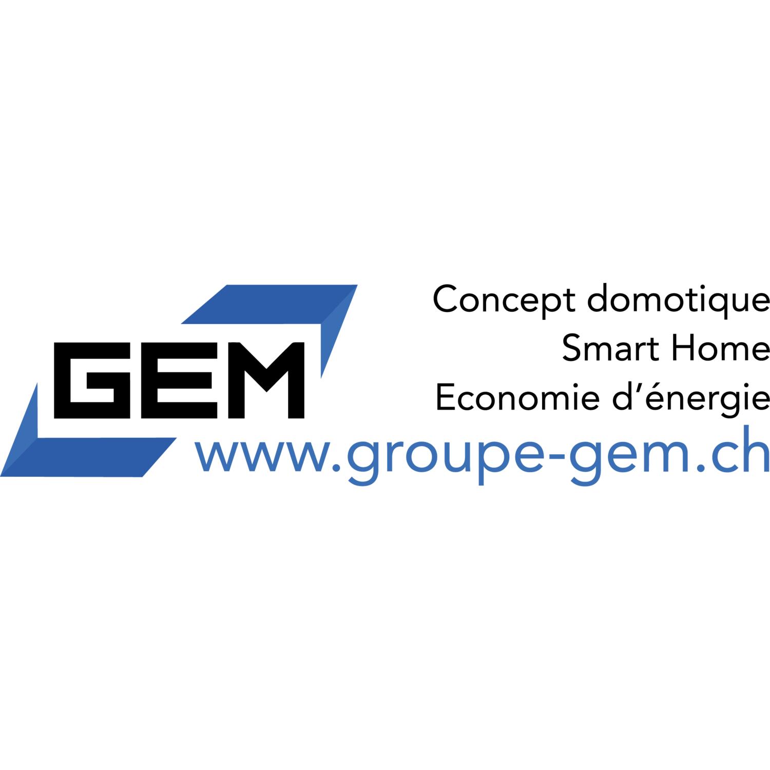 Global Energy Management SA / "GEMSA"