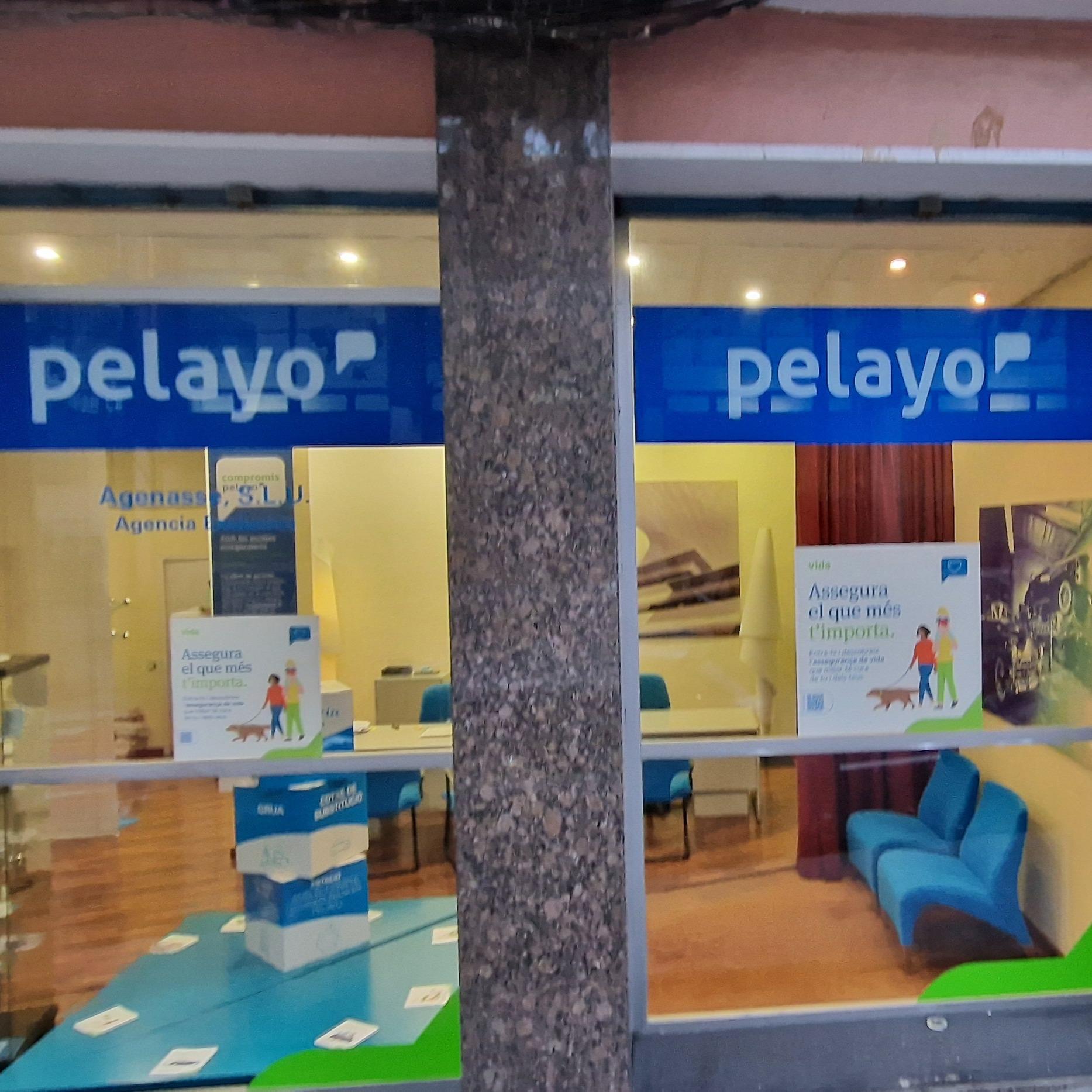 Oficina Seguros Pelayo