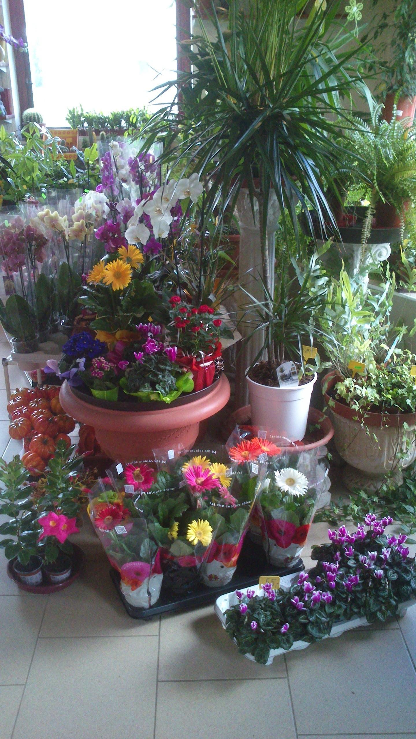 Zahradnictví - Jelínek Květoslav