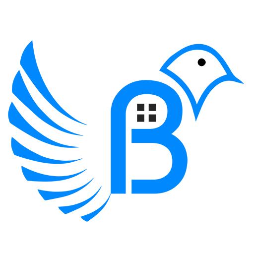 Birdseye Construction LLC