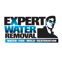 Expert Water Removal