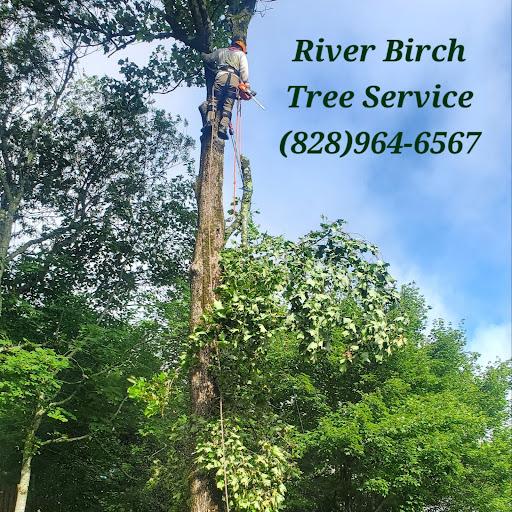River Birch Tree Service LLc.