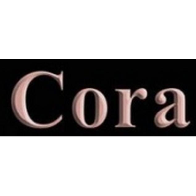 CORA - Ing. Dana Půlpánová