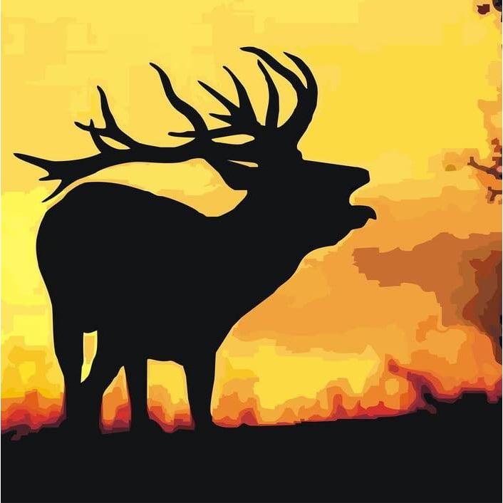 Cañones Wildlife Services