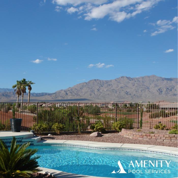Amenity Pool Services