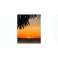 Sunset Janitorial Inc.