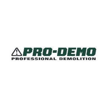 Pro-Demo Professional Demolition Services