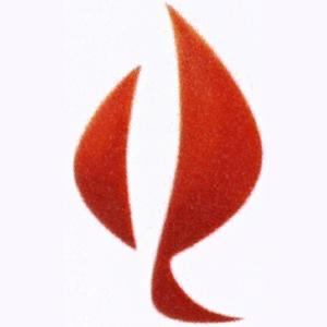 Dr. Katharina Mitterer