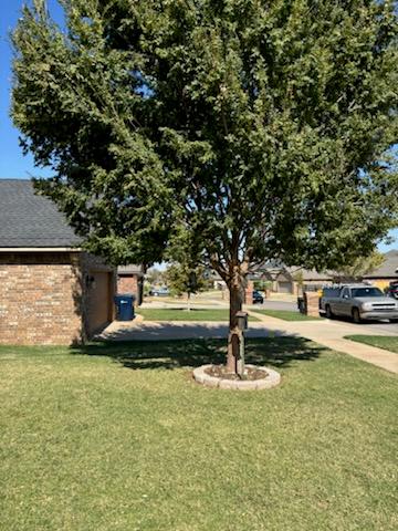 Sam's Tree Service