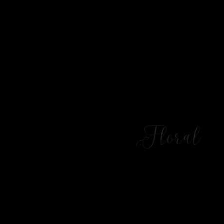 Bloom Floral Shop Chicago