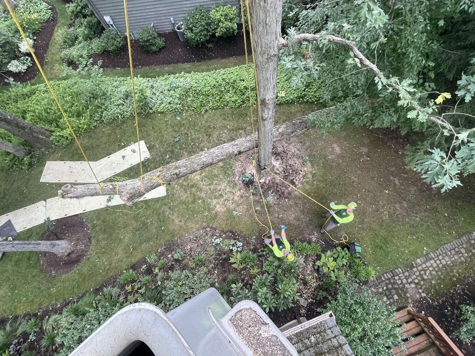 Brossart F. Tree Service