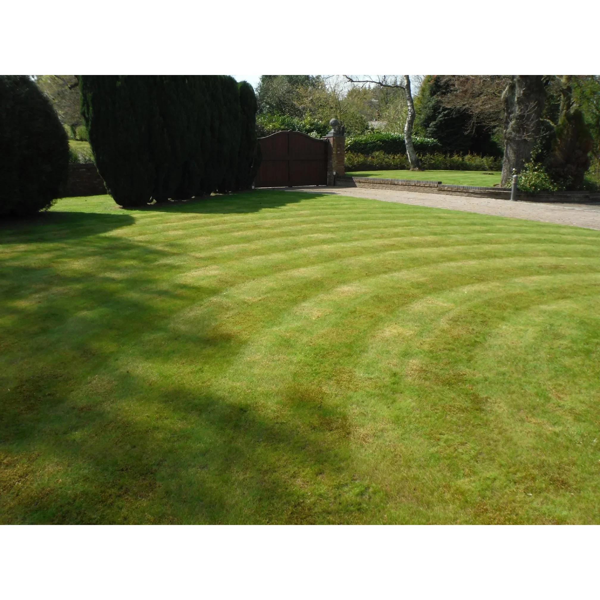 Rob Garcia Garden Services