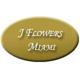 American Bouquet Florist