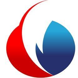 Panesar Electrical Co.