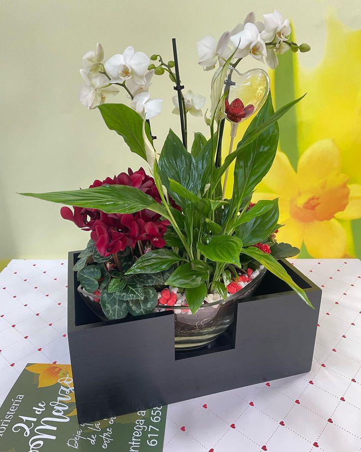Floristeria 21 De Marzo
