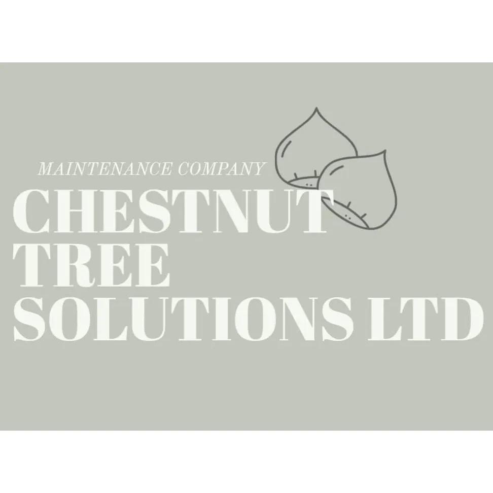 Chestnut Tree Solutions Ltd