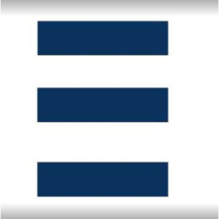 Lin-Lin Tsou-Otani REALTOR