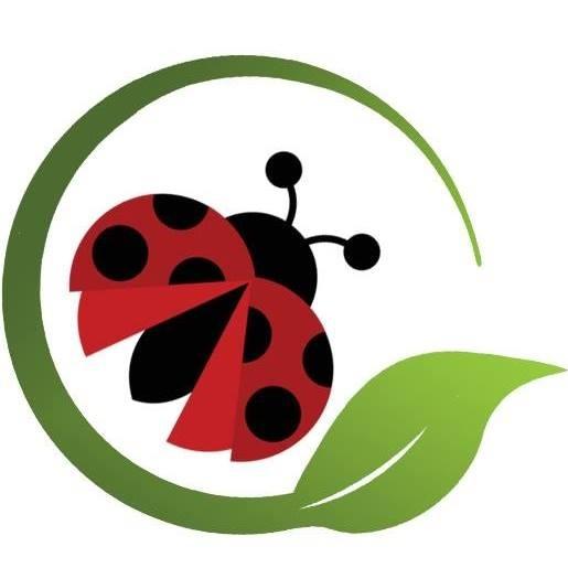 Clean Pest Solutions