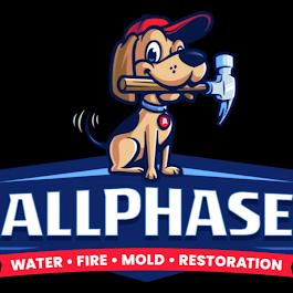 AllPhase Restoration