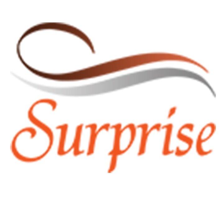 Surprise Club & Disco Berlin