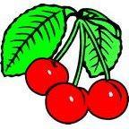 Cherry City Plumbing Inc