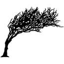 Arkitektkontoret Vest AS