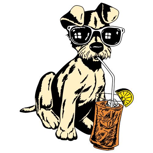 Pleasant View Pet Resorts