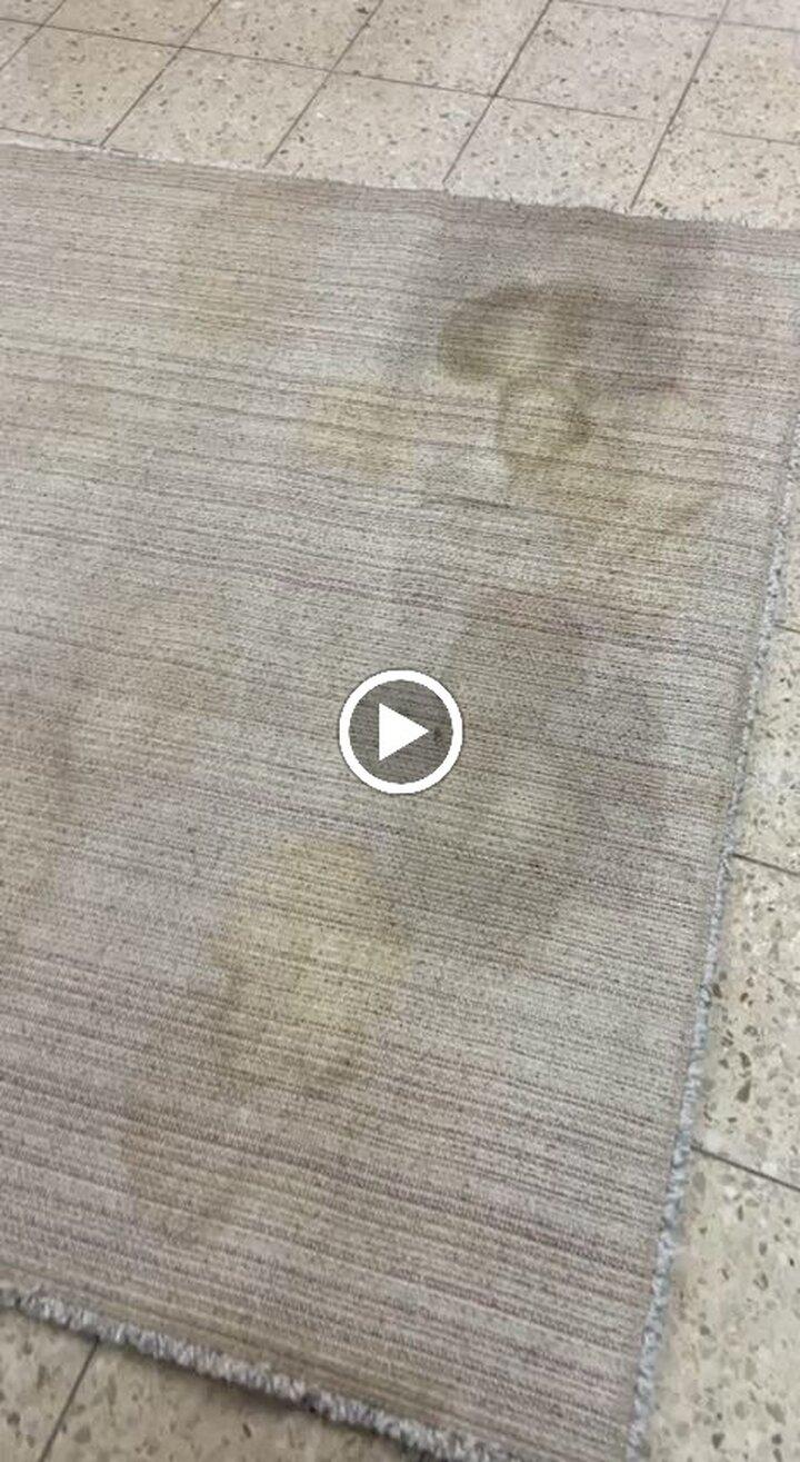 Parsi Teppichreinigung GmbH