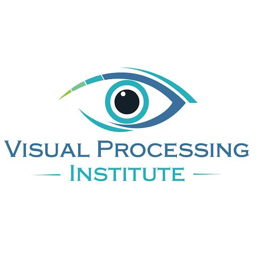 Visual Processing Insitute