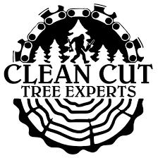 Clean Cut Tree Experts