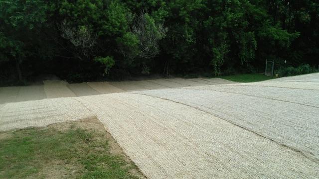 T M Perryman Excavating Service