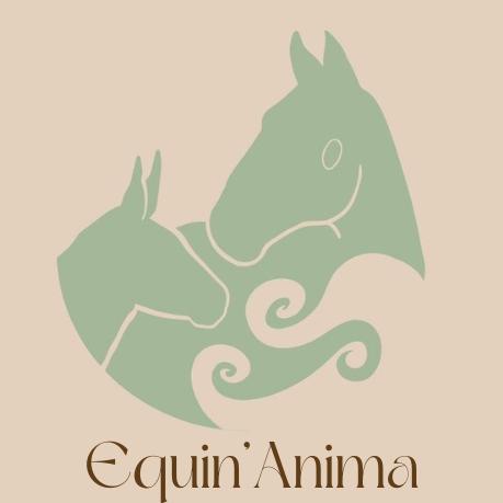 Equin' Anima