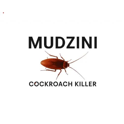Mudzini
