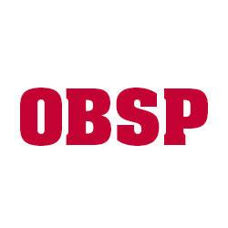Otto's Brick and Stone Pointing LLC