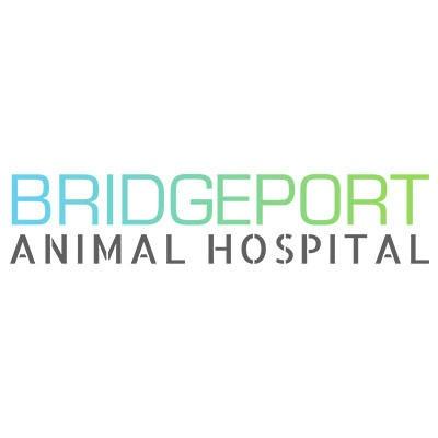 Bridgeport Animal Hospital