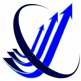 NMP PROFESSIONAL SERVICES