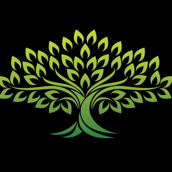 Shady Grove Tree Service